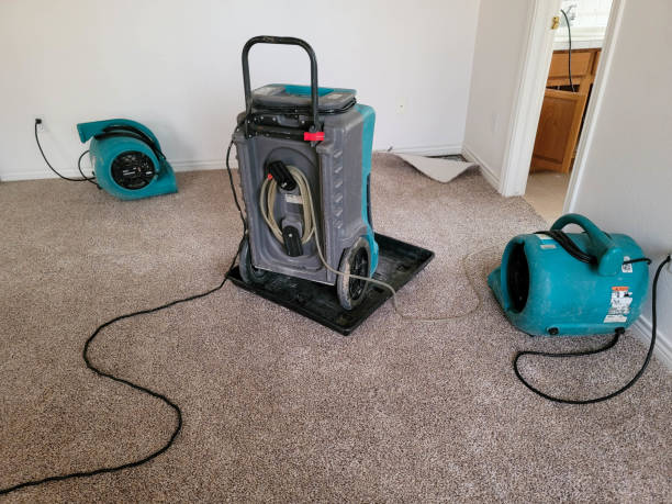 Best Flooded house restoration  in Sturgeon, PA