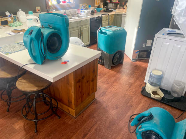 Best Flood damage cleanup  in Sturgeon, PA