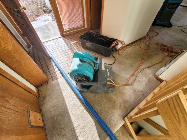 Best Commercial water damage restoration  in Sturgeon, PA