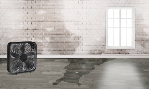 Best Water damage restoration process  in Sturgeon, PA