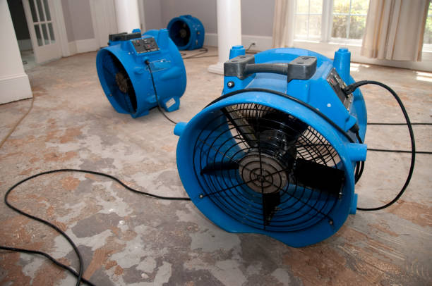 Best Emergency water damage restoration  in Sturgeon, PA