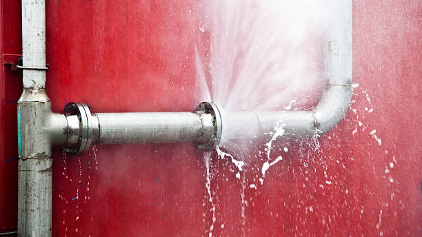 Best Water damage contractors near me  in Sturgeon, PA