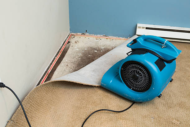Best Residential water damage restoration  in Sturgeon, PA